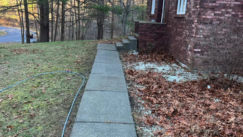 Dirty Houses Part #5